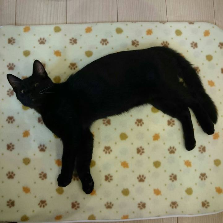 215a4a3e cbef 4c36 89ba 3a83f84d401d