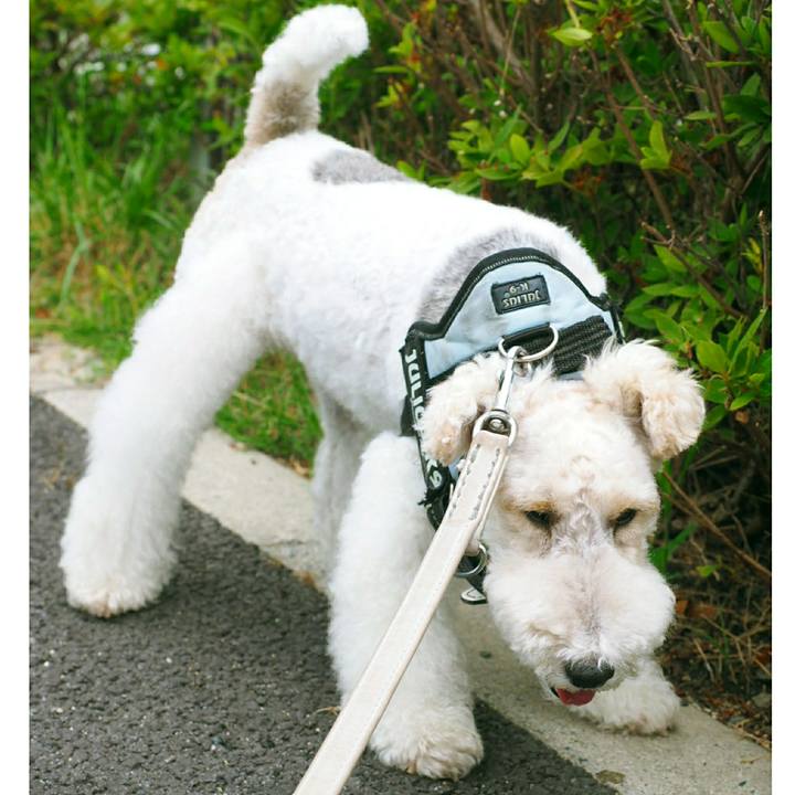 215ac8da 5189 4a12 9bc1 ed42bafe0633