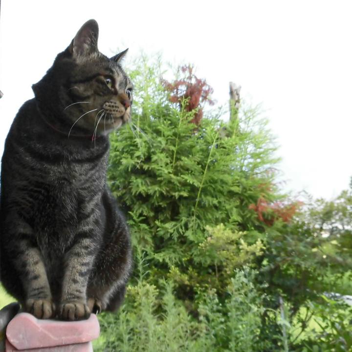 215b0df3 7efc 4650 88aa df939d0d4f70