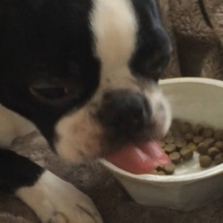 215b3fba e662 4657 85c2 32c565c7692f