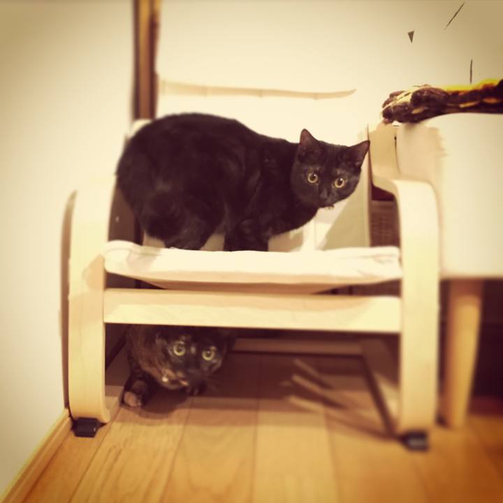 215b5476 865c 4273 9154 8314f0204c7d