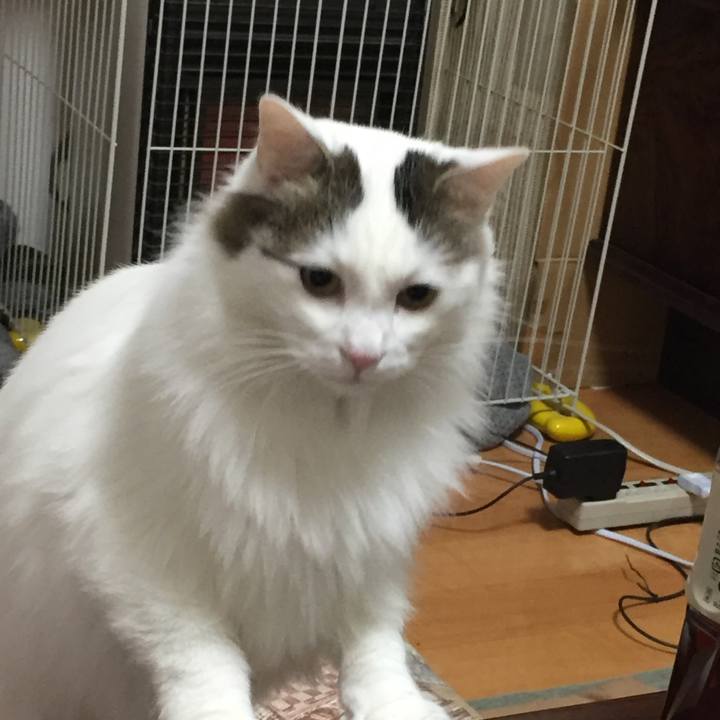 215c8632 4699 4d91 b00d e8af17812802