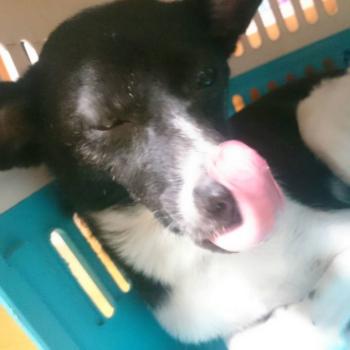 215c89b7 4154 409e b048 b33399290f4d