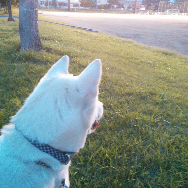 215d003e a5e4 4032 b1ea 3b1073a47e61