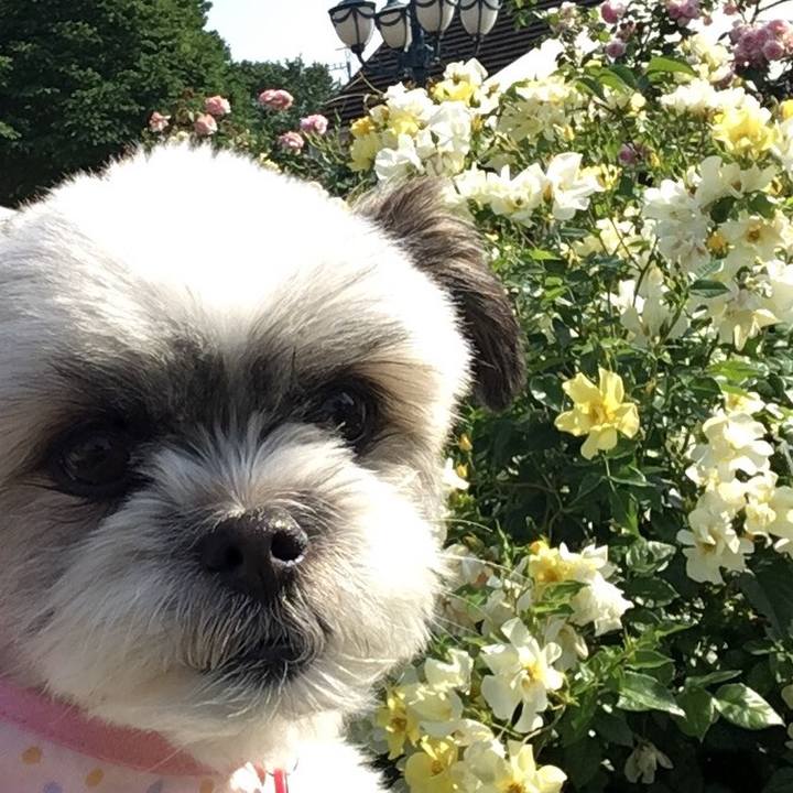 215d1893 2c70 4bea 8457 65faaa6df9c1