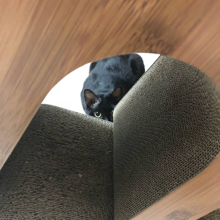 215d2939 8ea8 4212 a9a9 6560e1722622