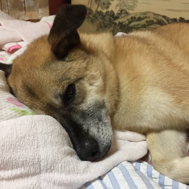 215d2ba2 3e55 40e0 87b8 db9d818e1f2a