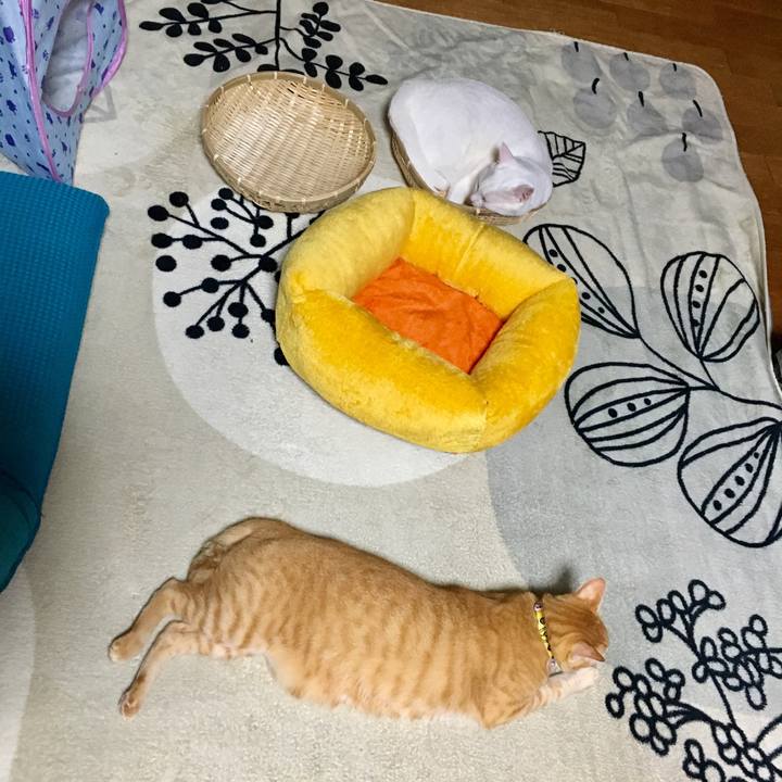 215d6bd5 3ccd 4933 b00d 894f8700b1bc