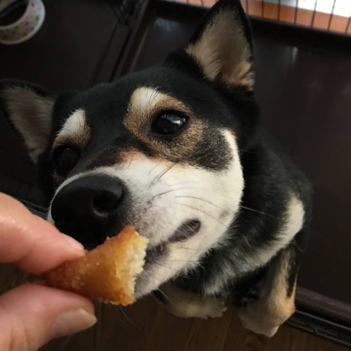 215dc1ab 86e2 4666 a31e de3e446a8545