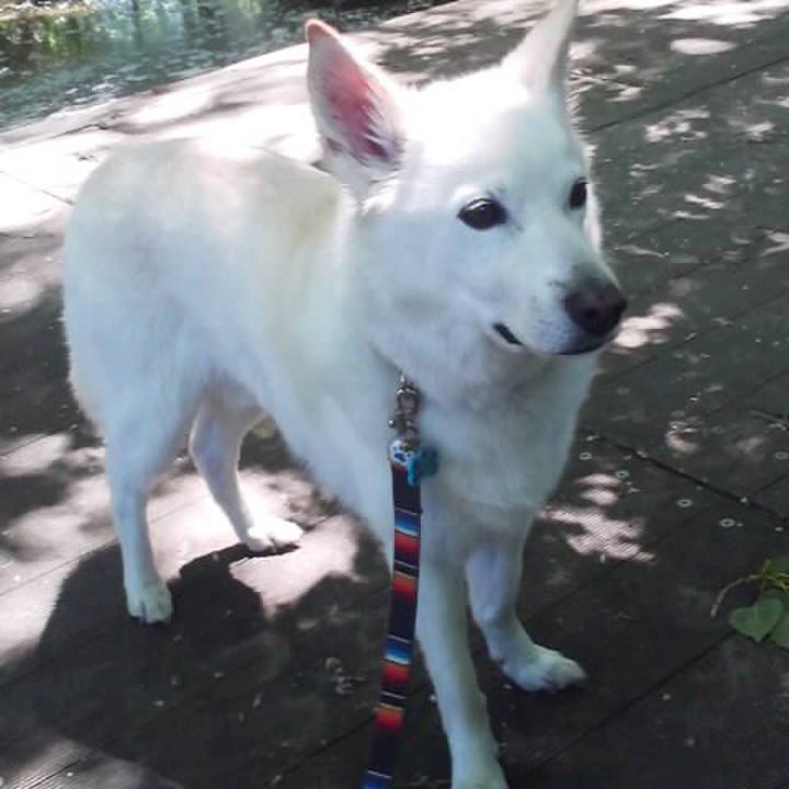 215dfd41 1994 422f a705 47a7e7a03a1f