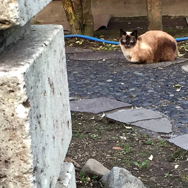 215e8ef2 830b 4dd3 a66a 4c8d6a4ab149