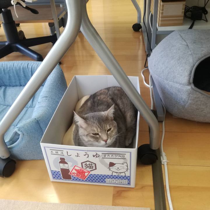 215f12a8 5aec 4308 a476 bdd7f8624ecd