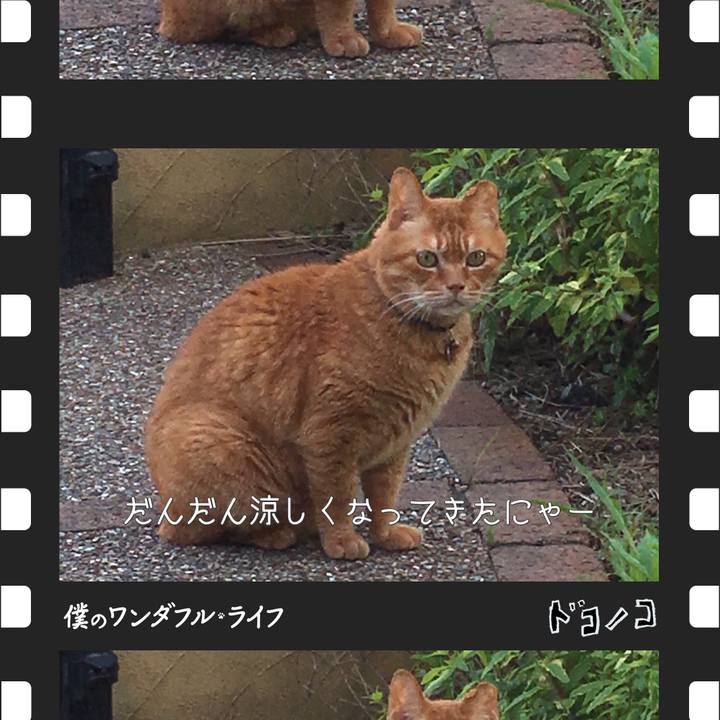 215f1755 d72d 4232 bd4d 6dd20fd7d292