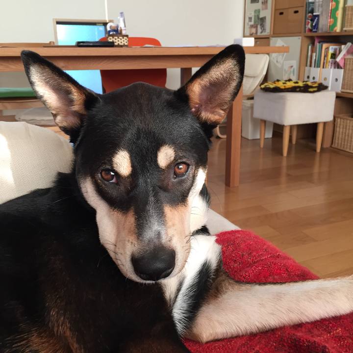 215f7ead e568 4e47 b32d 892728419c29