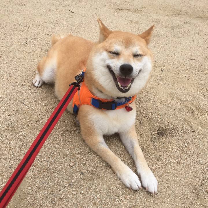 215fac19 96bb 4299 b36b 4b3188629202