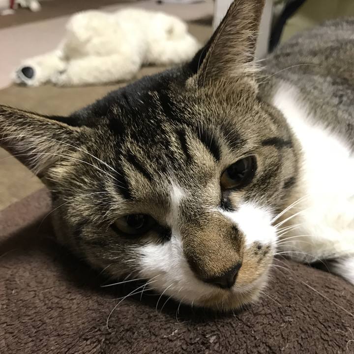 215fb3ba 9b62 49ea 92b7 970f92dd1b03