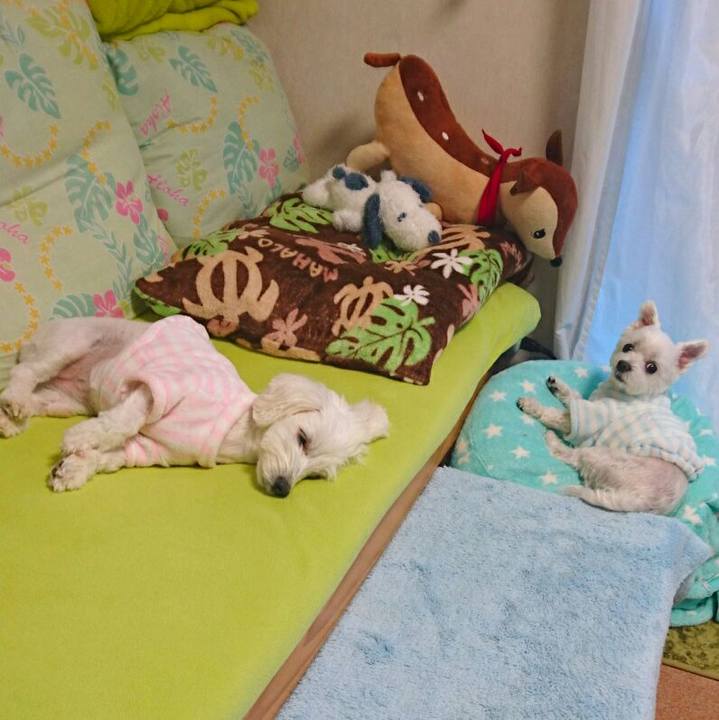 216053a6 7d4a 4a4d b485 e68de0a6fb73