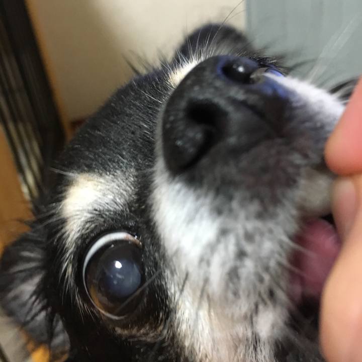 216073b5 c66a 4b75 a982 8182451b6b3c