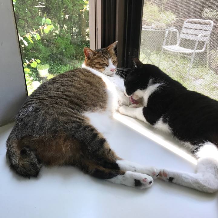 216095ca f36b 4a8d 9a69 02210aa4b6d0