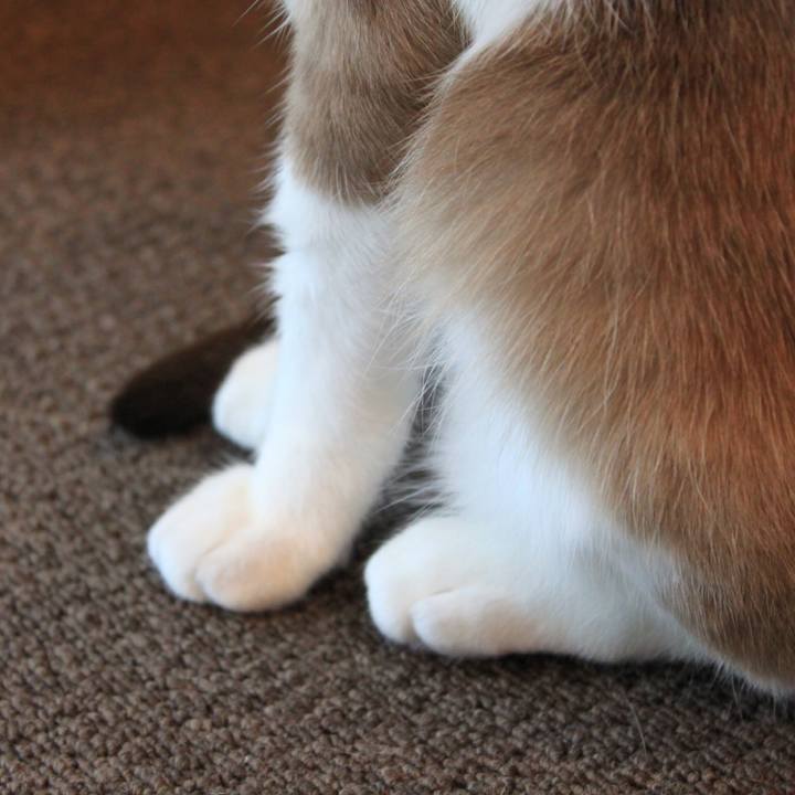 216111bf 1e25 41b9 8b6c 5ebec1b7f623