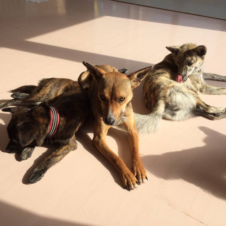 21611f7c 6e51 4045 95ae 60c930af0e0f