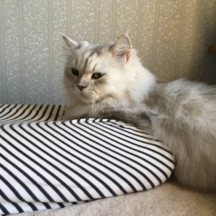 216123f5 1418 4d42 ad5b 1308f88a312f