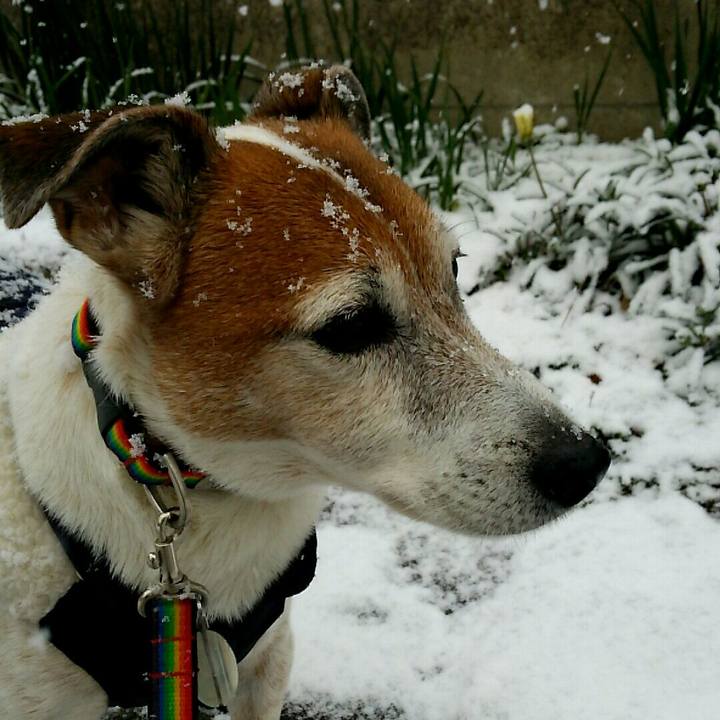 2161430a 8431 4784 b75a 2bf4f002d002