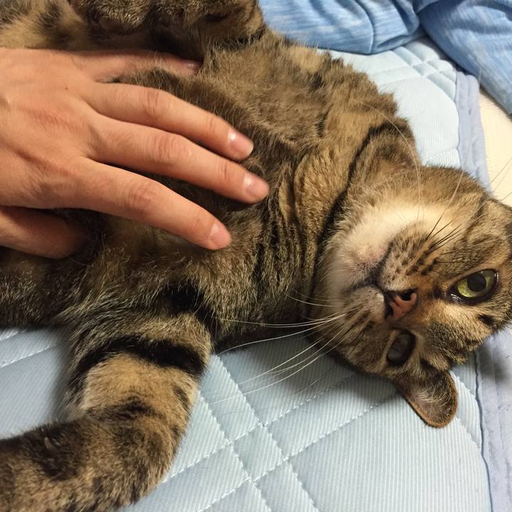 21621970 2705 4232 a6f1 0565a002f43d