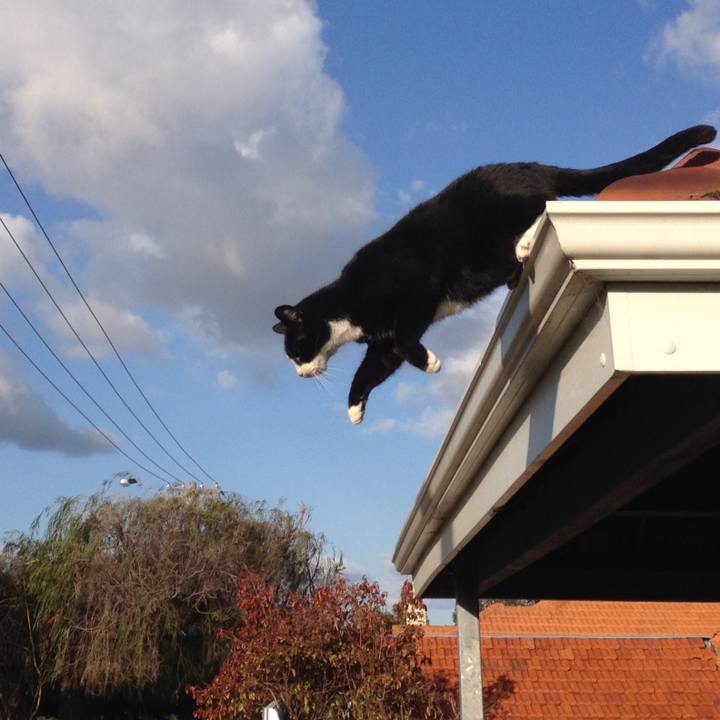 2162a498 d73a 40ab 89c9 b7c15ce2fea3