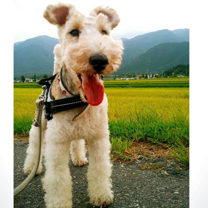 21632e7f fc76 41ce 8738 553c3783eb63