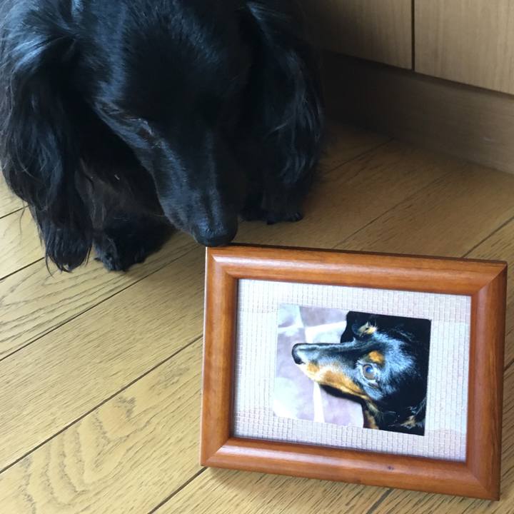 21637454 dac8 43eb ae72 c46fab616581