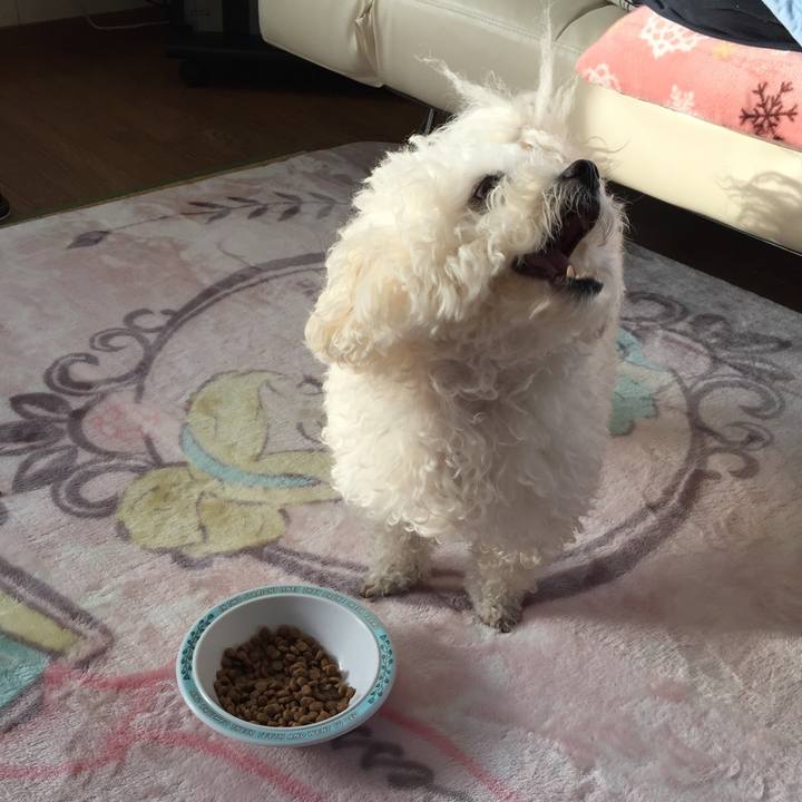 21637f79 0a49 43b4 b6f0 34353d2b6e84