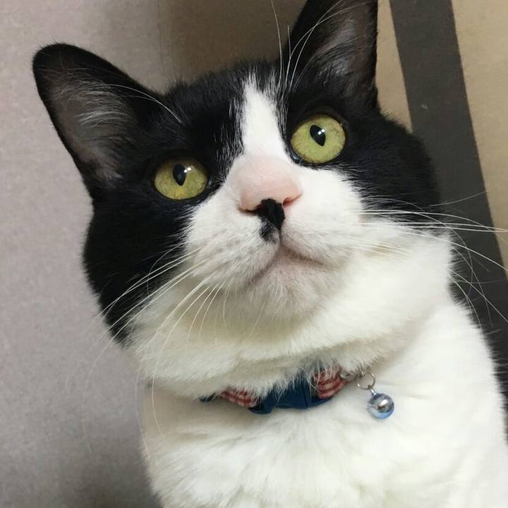 2163eb20 e06c 4f84 86c2 76057189d619