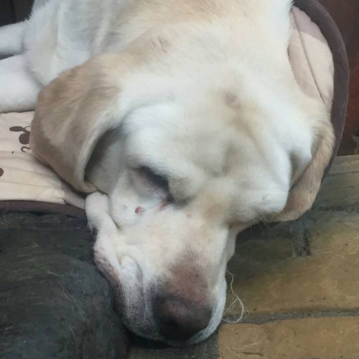 21640a4e dbe7 4e3f 9114 d3892743aaad