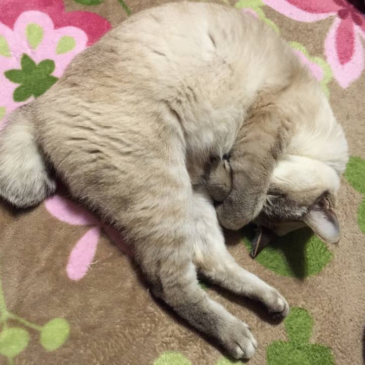 216433f9 4efa 4df5 a189 075526ad3a44