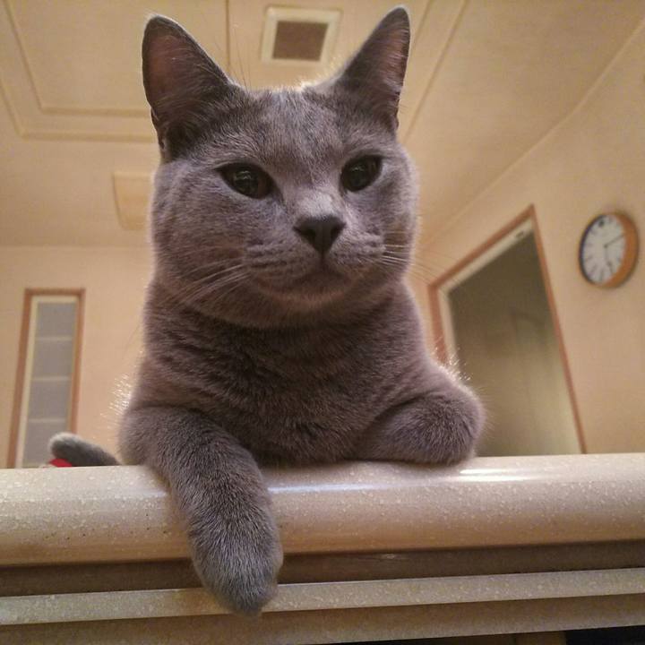 21650cf1 72dc 4486 b34d ac22f67f57dd