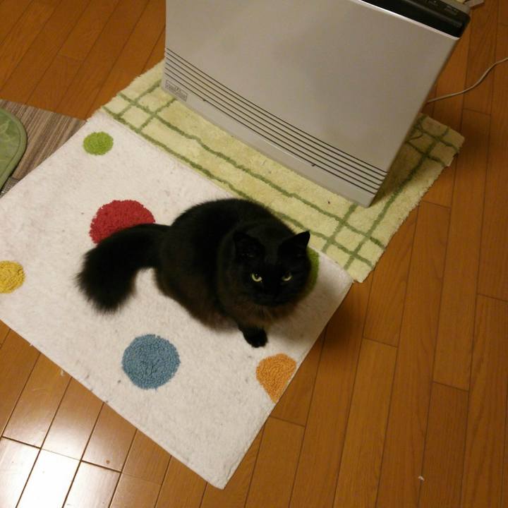 21655f5e 586c 4602 8fe9 79199f0ed61d