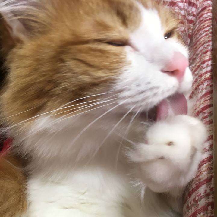 21656e24 abf1 4c9e bb83 594b66319919