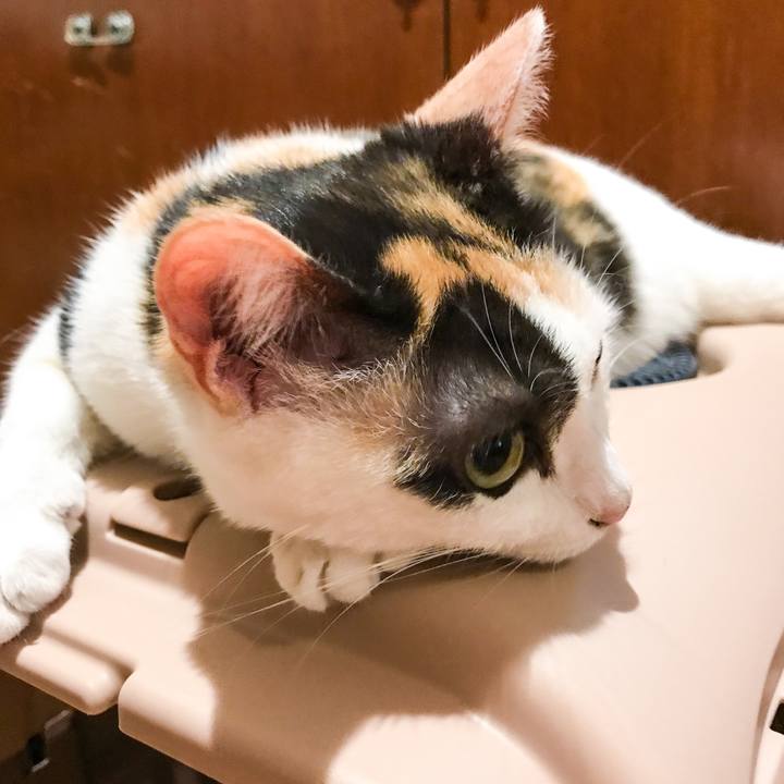 2165e1e9 cea9 407c 93ae 1c41acaa470c