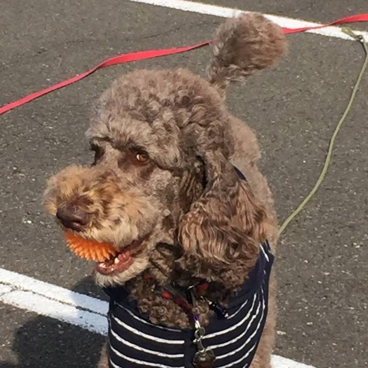 216616d4 8c94 4691 9ec2 7f26125c0bb4