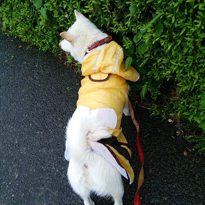 2166254e 4d45 49ce af82 3e30ac8b1794