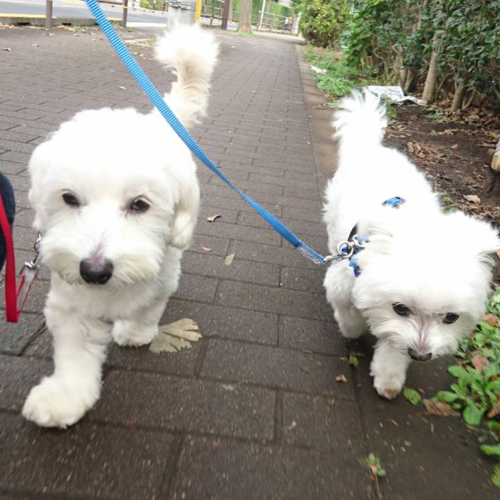 21664168 07f5 43db bc99 2efff644ac19