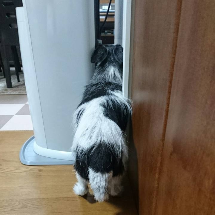 2166f77e 9f67 4049 bf0e cb2af382abba