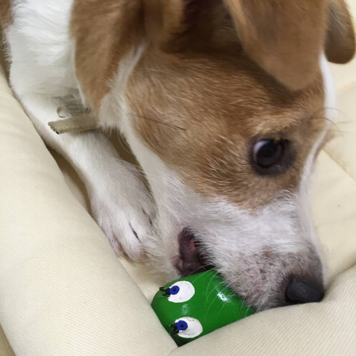 21681ad9 0939 4924 b64b 7f6422a426a9