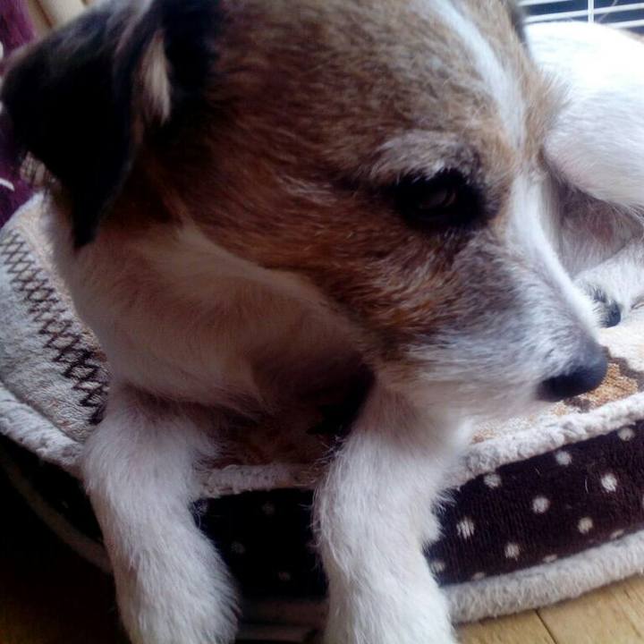 2168533d da04 4f5c b063 c06bfc2b82b7