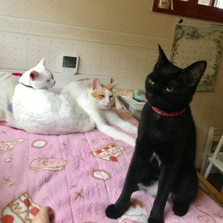 2168a912 b068 4a6e b101 89fc02573608