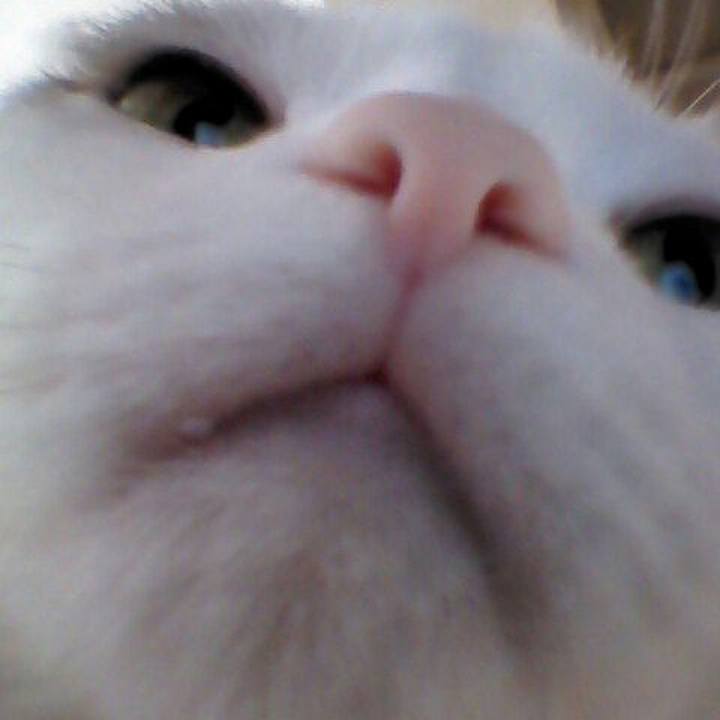 2168dcb1 5706 4573 9af4 c3e3c104667d