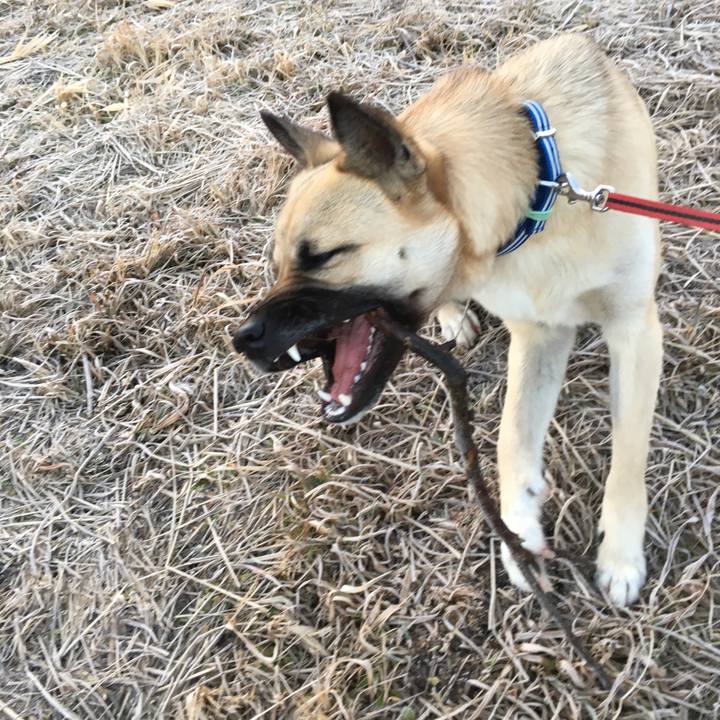 21693070 610d 4a75 8cfc 48604fa01b03