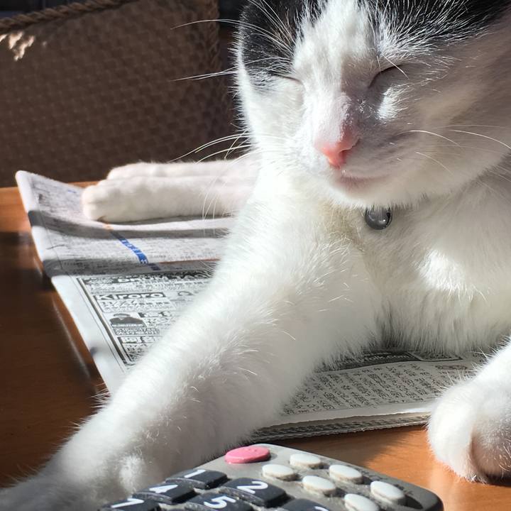 216a3061 7eb3 4e26 ba07 3a9efbeebad3