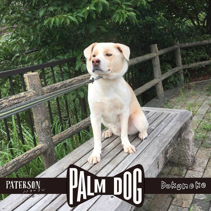 216a709e 88a4 4a44 933b 82718c4373de